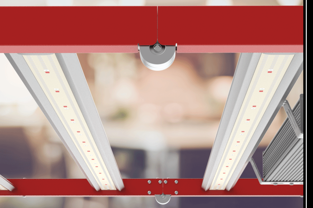 Feature-Callout-Edge-Optimized-1